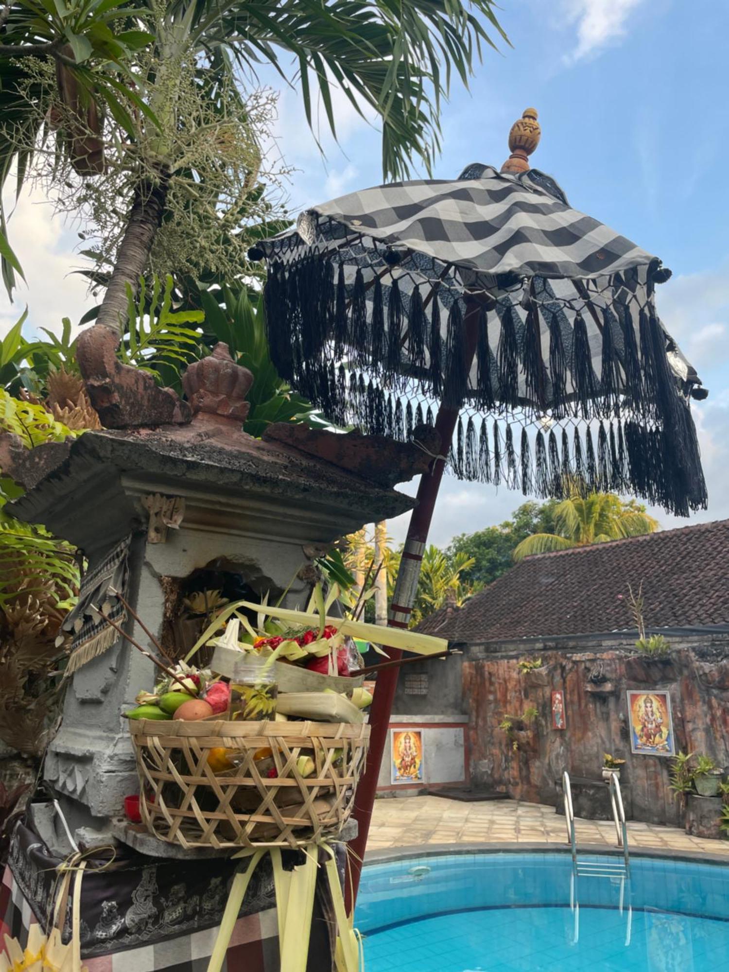 Hotel Kubu Elsa Bali Lovina Exteriér fotografie